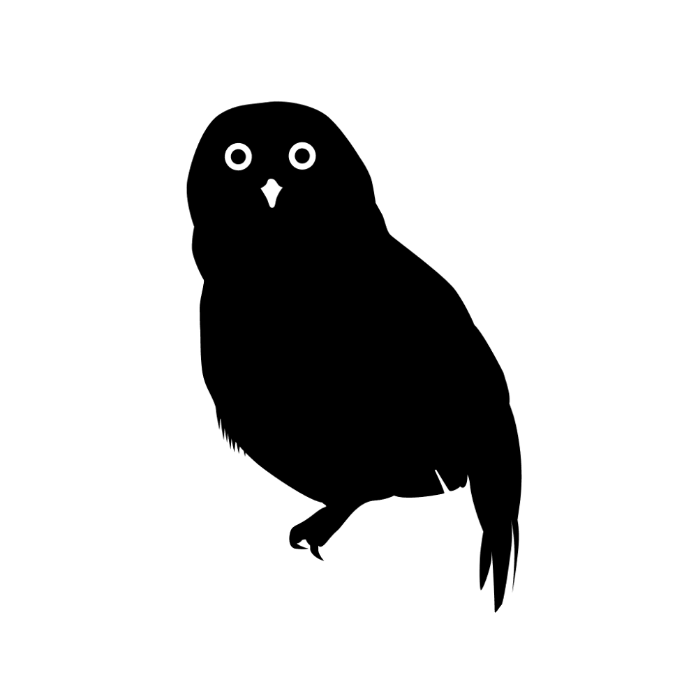 Night Owl